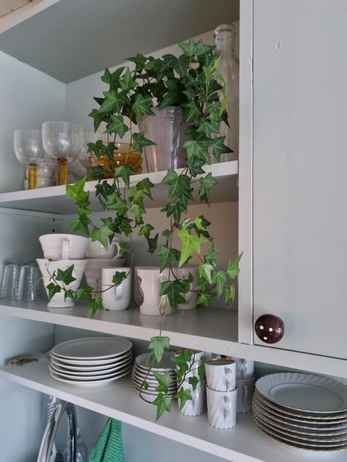 Loftsleilighet Midt I Sentrum Skjervoy Екстериор снимка